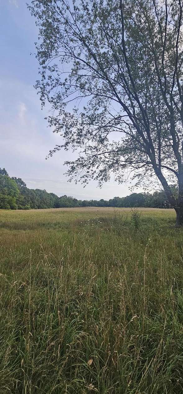 13 Acres of Land for Sale in Coldwater, Michigan