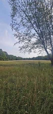 13 Acres of Land for Sale in Coldwater, Michigan