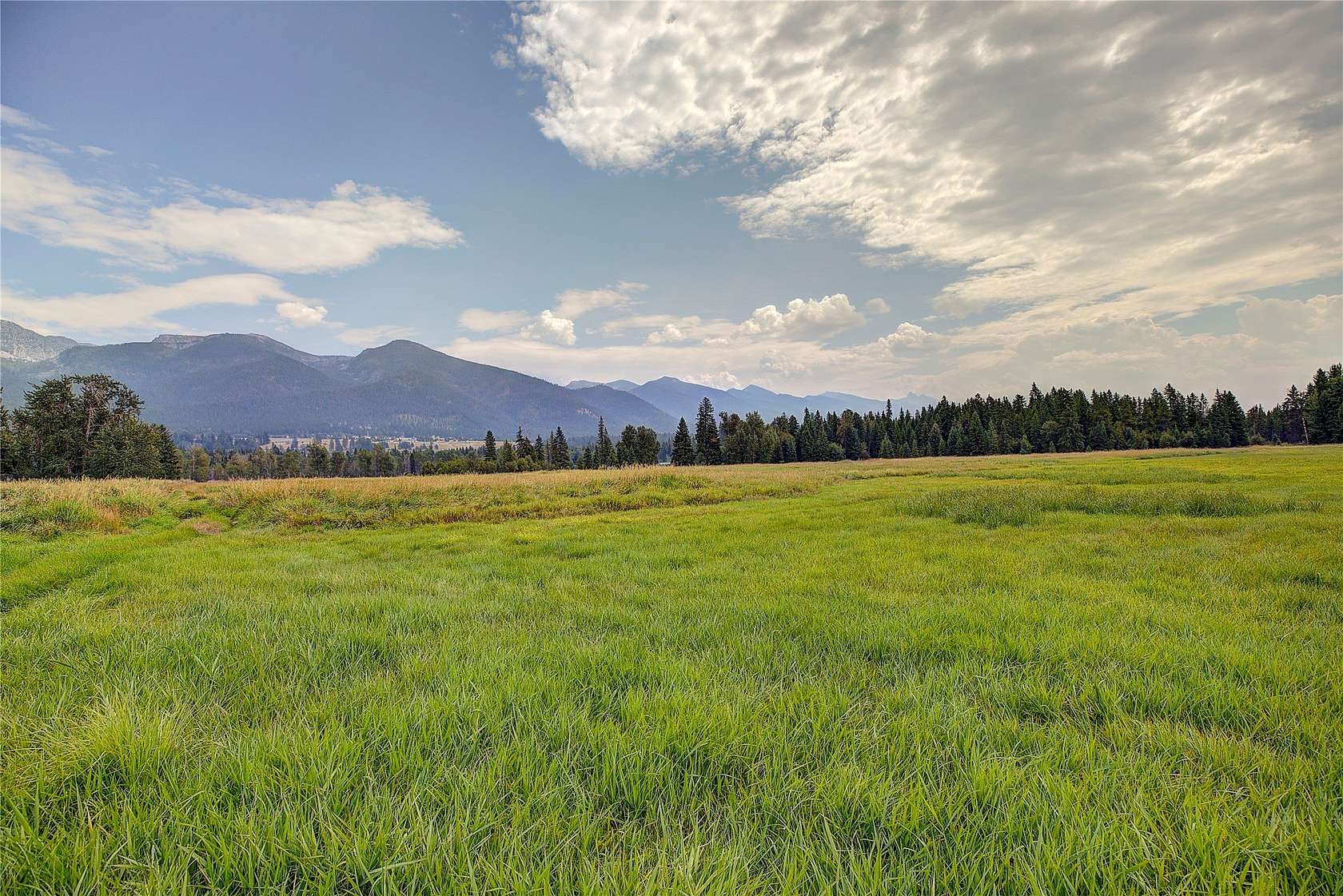 40 Acres of Improved Land for Sale in Ronan, Montana