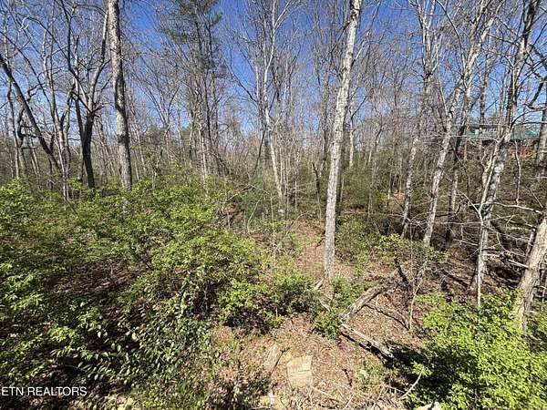 0.75 Acres of Residential Land for Sale in Crossville, Tennessee