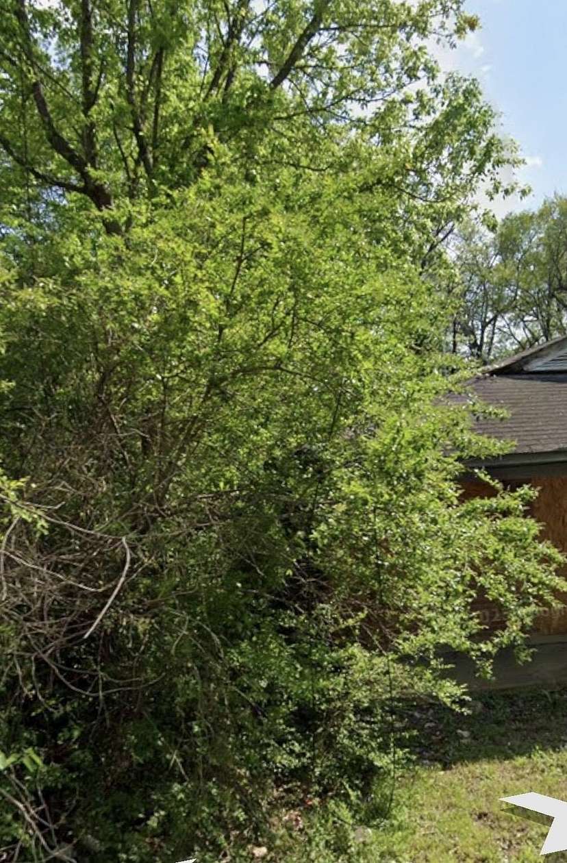 0.09 Acres of Residential Land for Sale in Memphis, Tennessee