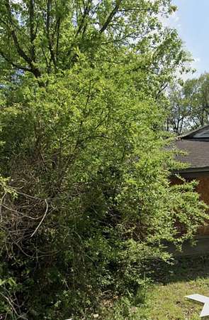 0.09 Acres of Residential Land for Sale in Memphis, Tennessee