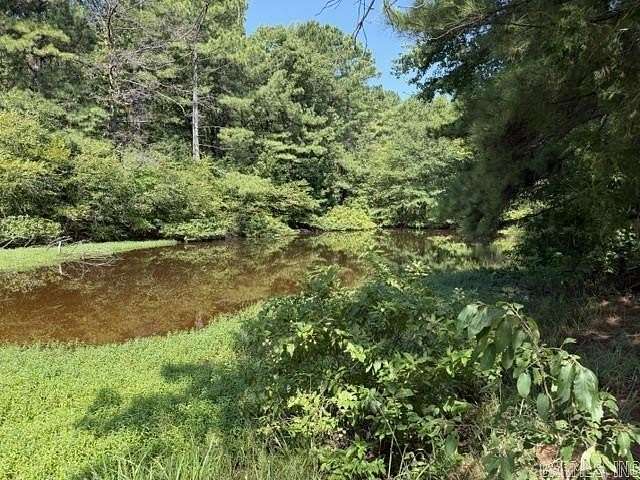 28 Acres of Recreational Land for Sale in Grapevine, Arkansas