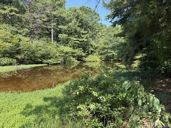 28 Acres of Recreational Land for Sale in Grapevine, Arkansas