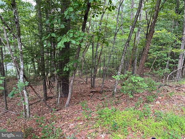 0.35 Acres of Land for Sale in Basye, Virginia
