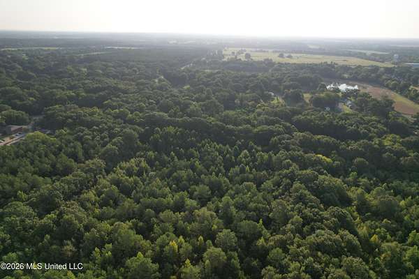 23 Acres of Land for Sale in Canton, Mississippi