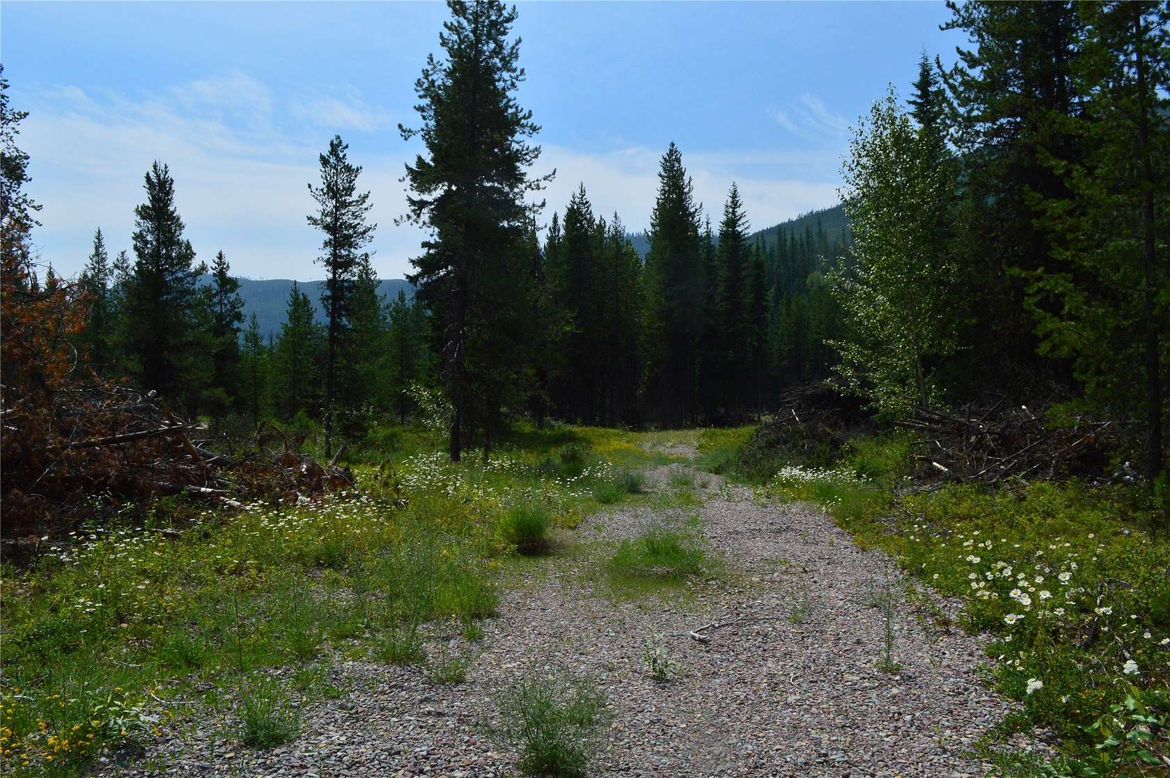 10 Acres of Recreational Land for Sale in Polebridge, Montana
