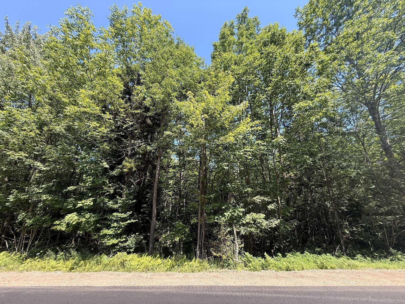 10 Acres of Land for Sale in St. Regis Falls, New York
