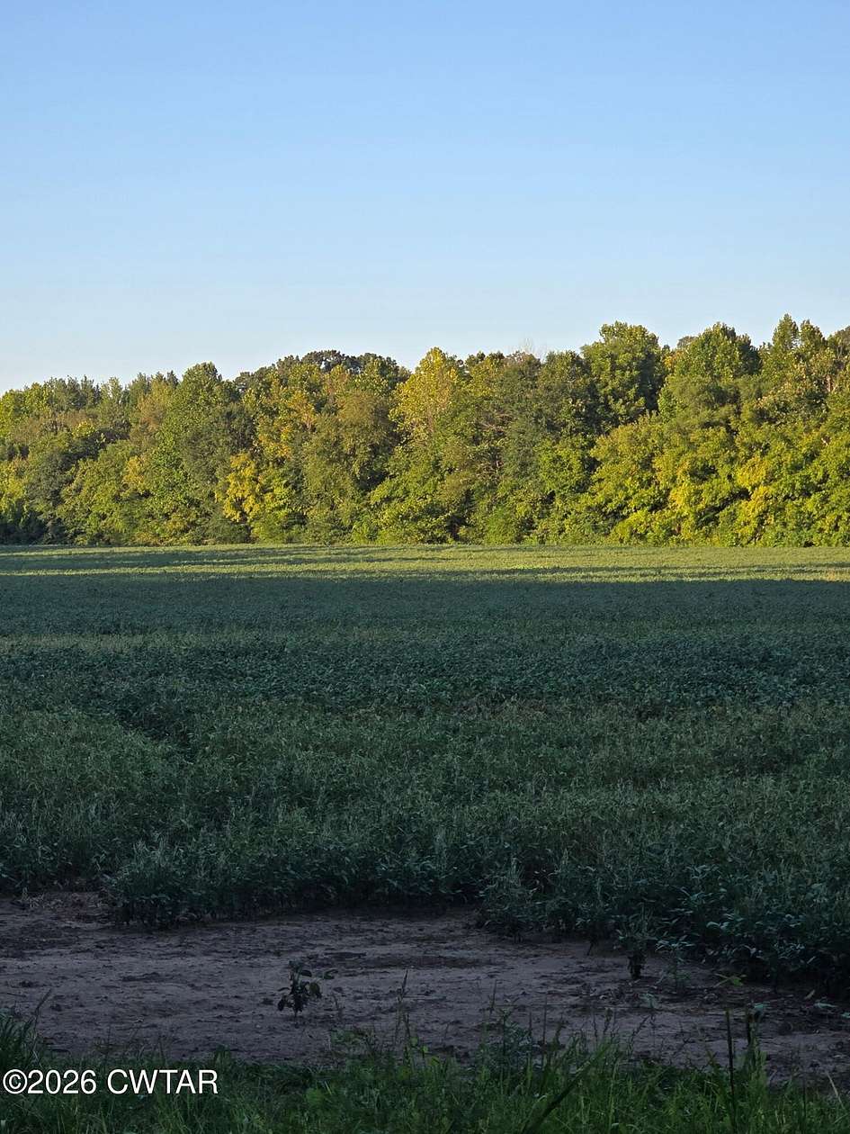 62 Acres of Land for Sale in Jackson, Tennessee