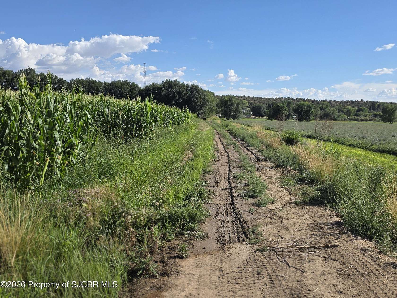 11.4 Acres of Land for Sale in Aztec, New Mexico