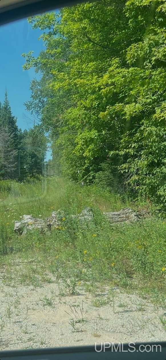 40 Acres of Recreational Land for Sale in Trenary, Michigan