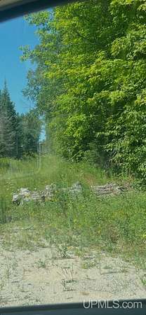 40 Acres of Recreational Land for Sale in Trenary, Michigan