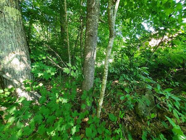 5 Acres of Residential Land for Sale in Morrill, Maine