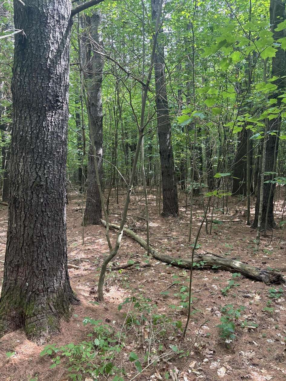 2.43 Acres of Land for Sale in Burnham, Maine