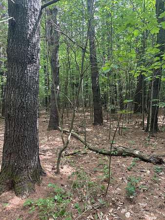 2.43 Acres of Land for Sale in Burnham, Maine