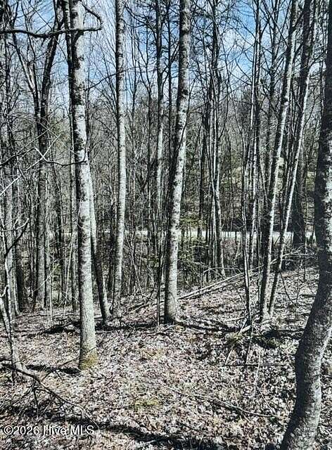 4.55 Acres of Residential Land for Sale in Topton, North Carolina