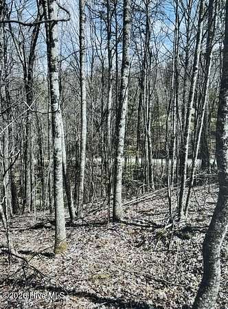 4.55 Acres of Residential Land for Sale in Topton, North Carolina