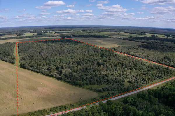 80 Acres of Land for Sale in Toivola, Minnesota