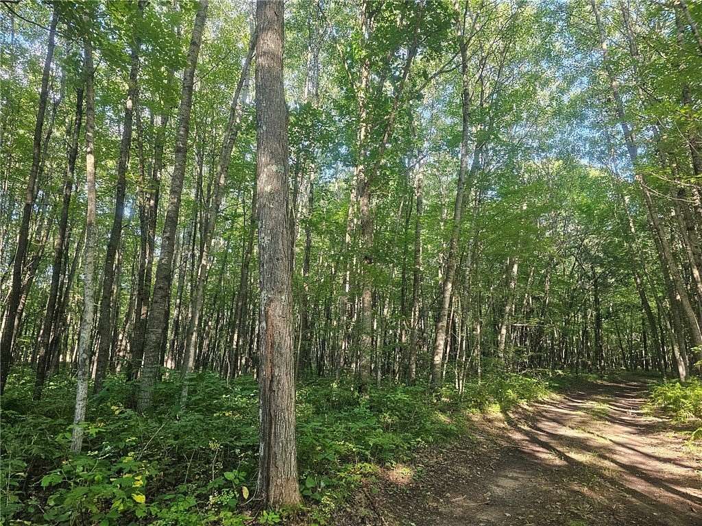 1.56 Acres of Residential Land for Sale in Webster, Wisconsin