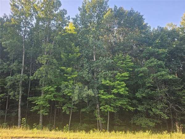1.56 Acres of Residential Land for Sale in Webster, Wisconsin