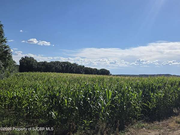 14.5 Acres of Land for Sale in Aztec, New Mexico