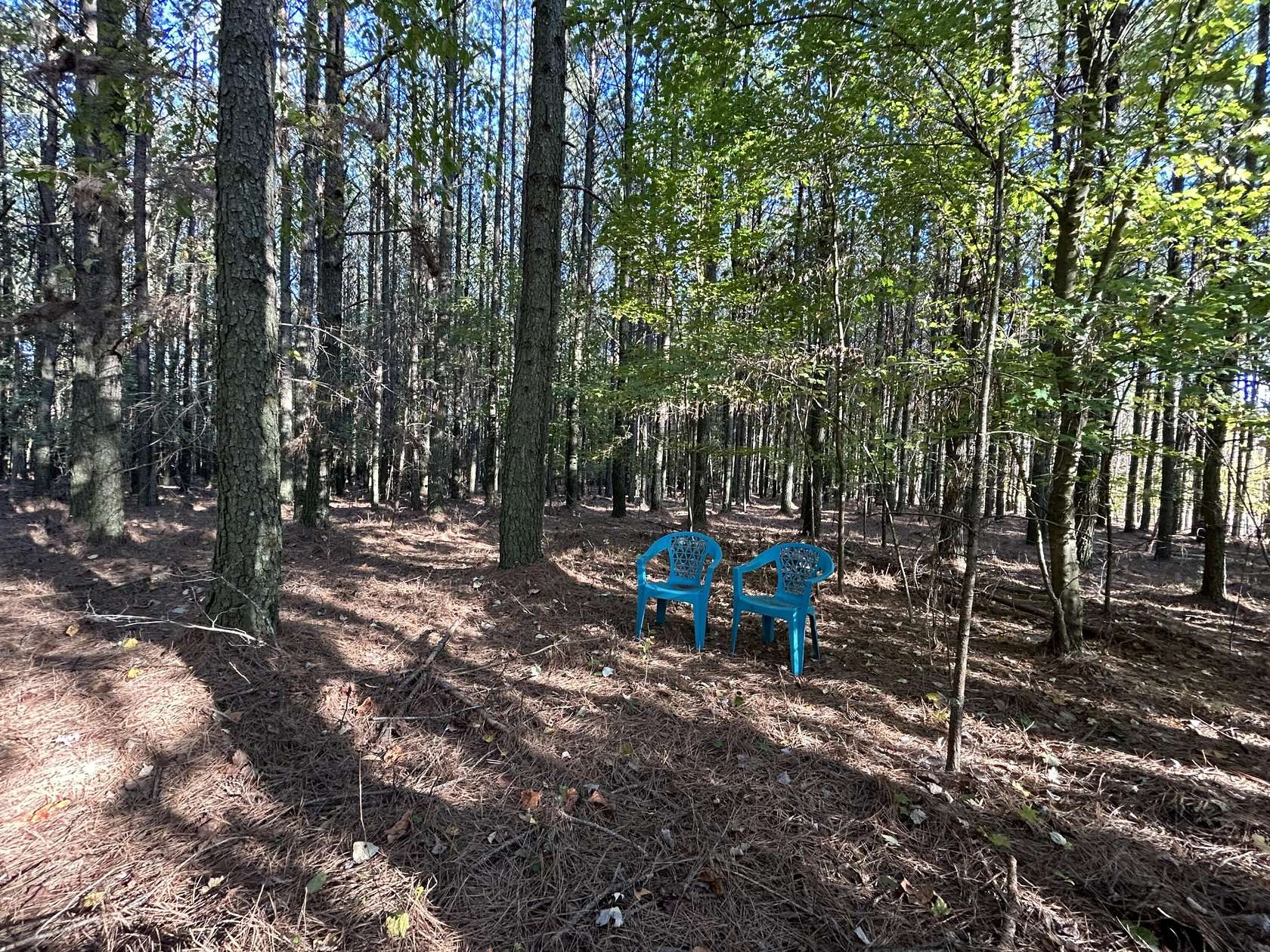 0.82 Acres of Residential Land for Sale in Jasper, Tennessee