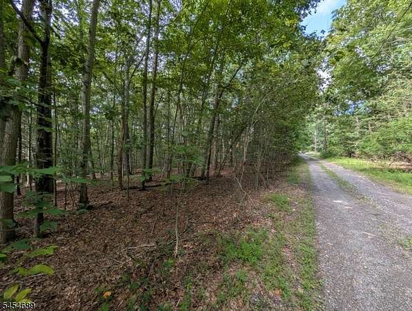 0.74 Acres of Land for Sale in Stillwater Township, New Jersey
