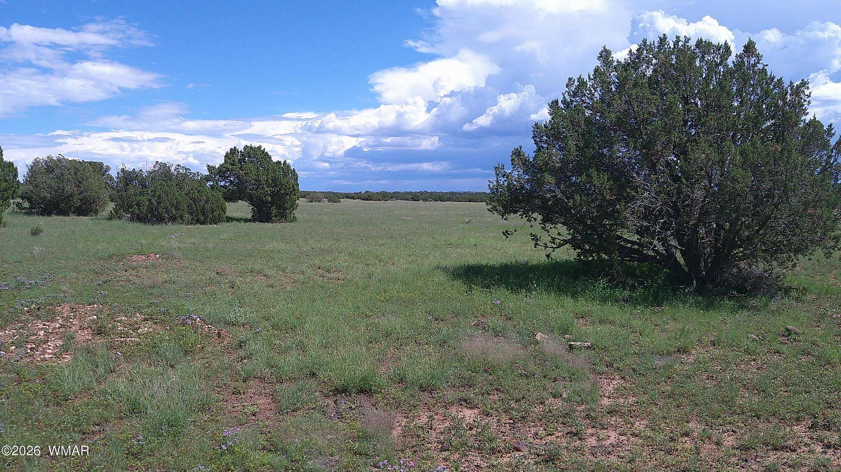 2 Acres of Residential Land for Sale in Show Low, Arizona