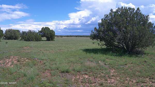 2 Acres of Residential Land for Sale in Show Low, Arizona