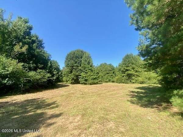 7 Acres of Residential Land for Sale in Summit, Mississippi