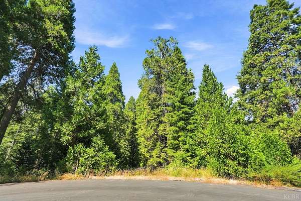 0.46 Acres of Residential Land for Sale in Shaver Lake, California