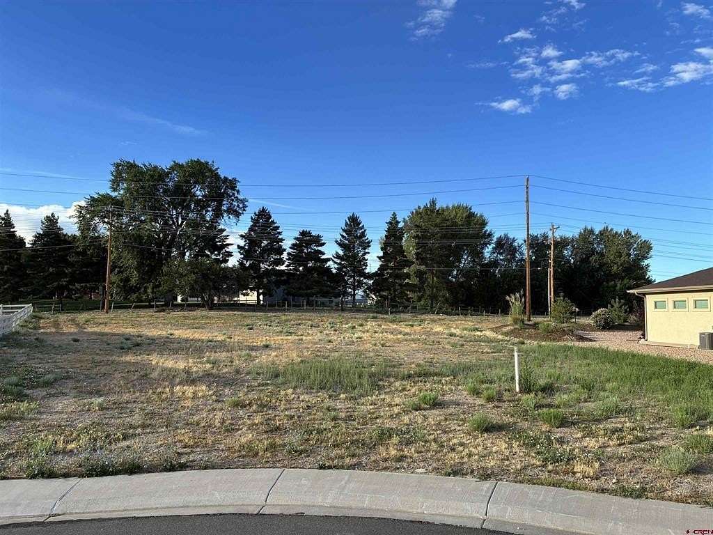 0.3 Acres of Land for Sale in Montrose, Colorado