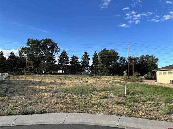 0.3 Acres of Land for Sale in Montrose, Colorado