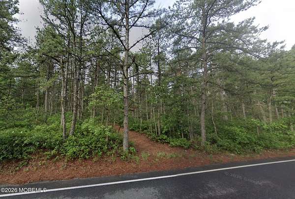 67 Acres of Recreational & Residential Land for Sale in Bass River, New Jersey