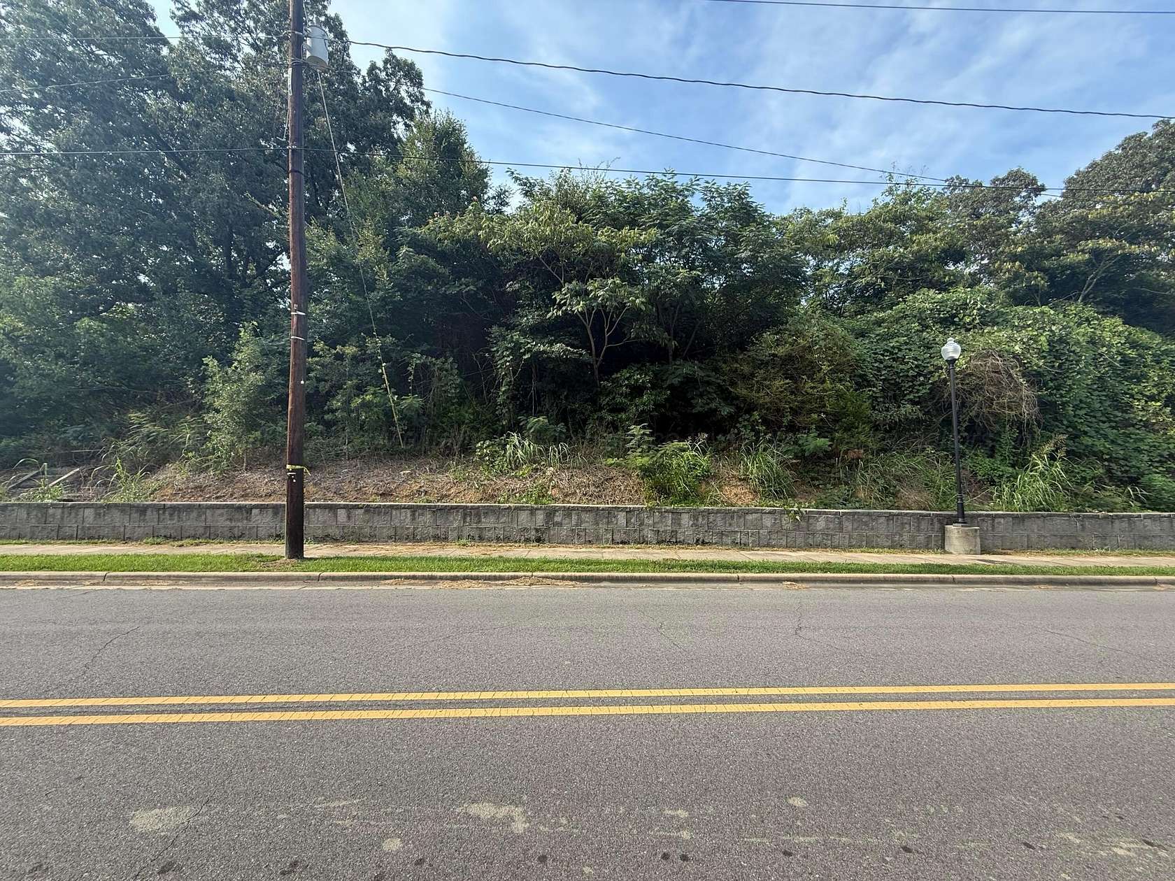 29 Acres of Land for Sale in Parrish, Alabama