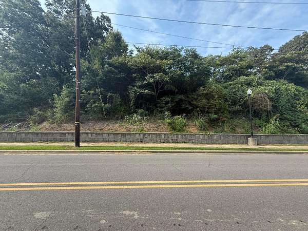 29 Acres of Land for Sale in Parrish, Alabama