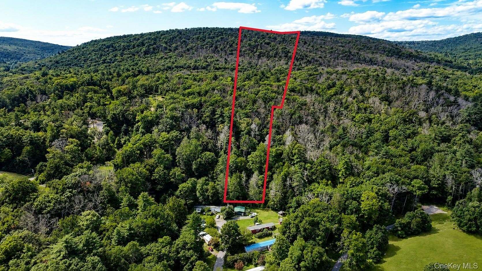 29.9 Acres of Recreational Land for Sale in Wawarsing, New York