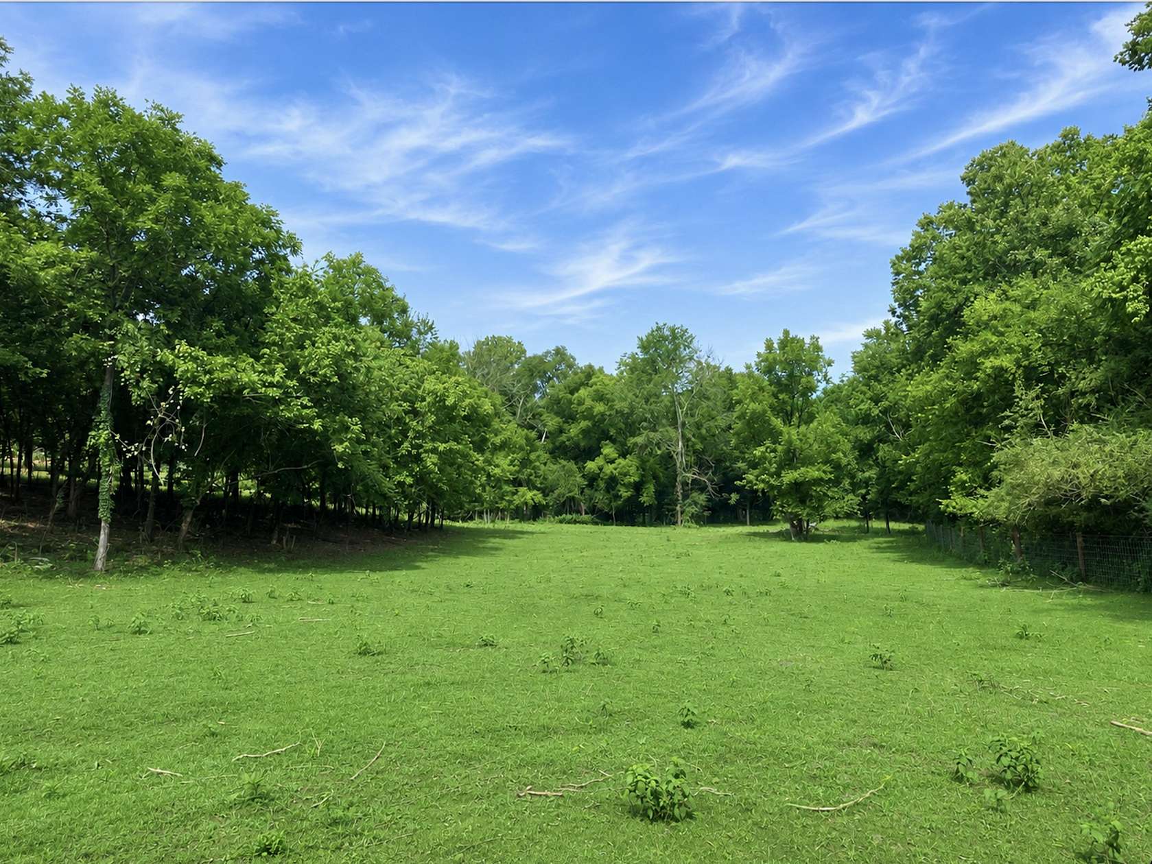 5.6 Acres of Residential Land for Sale in Columbia, Tennessee