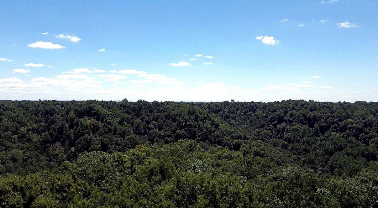 5.45 Acres of Residential Land for Sale in Smithville, Tennessee