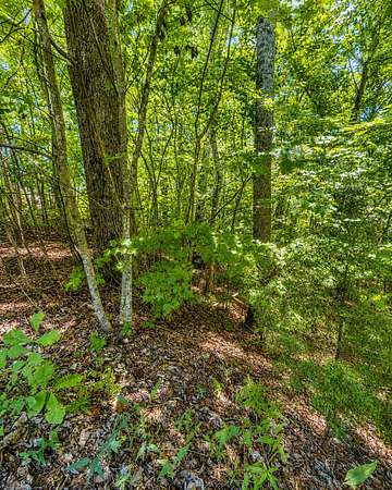 5.45 Acres of Residential Land for Sale in Smithville, Tennessee