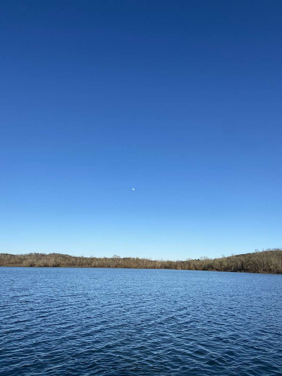 9.6 Acres of Residential Land for Sale in Lobelville, Tennessee