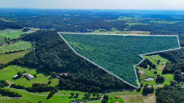 105 Acres of Land for Sale in Philadelphia, Tennessee