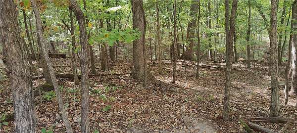0.28 Acres of Residential Land for Sale in Bella Vista, Arkansas