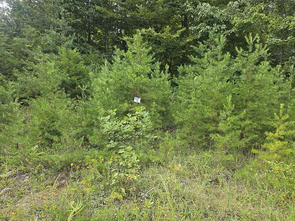 0.84 Acres of Land for Sale in Somerset, Kentucky