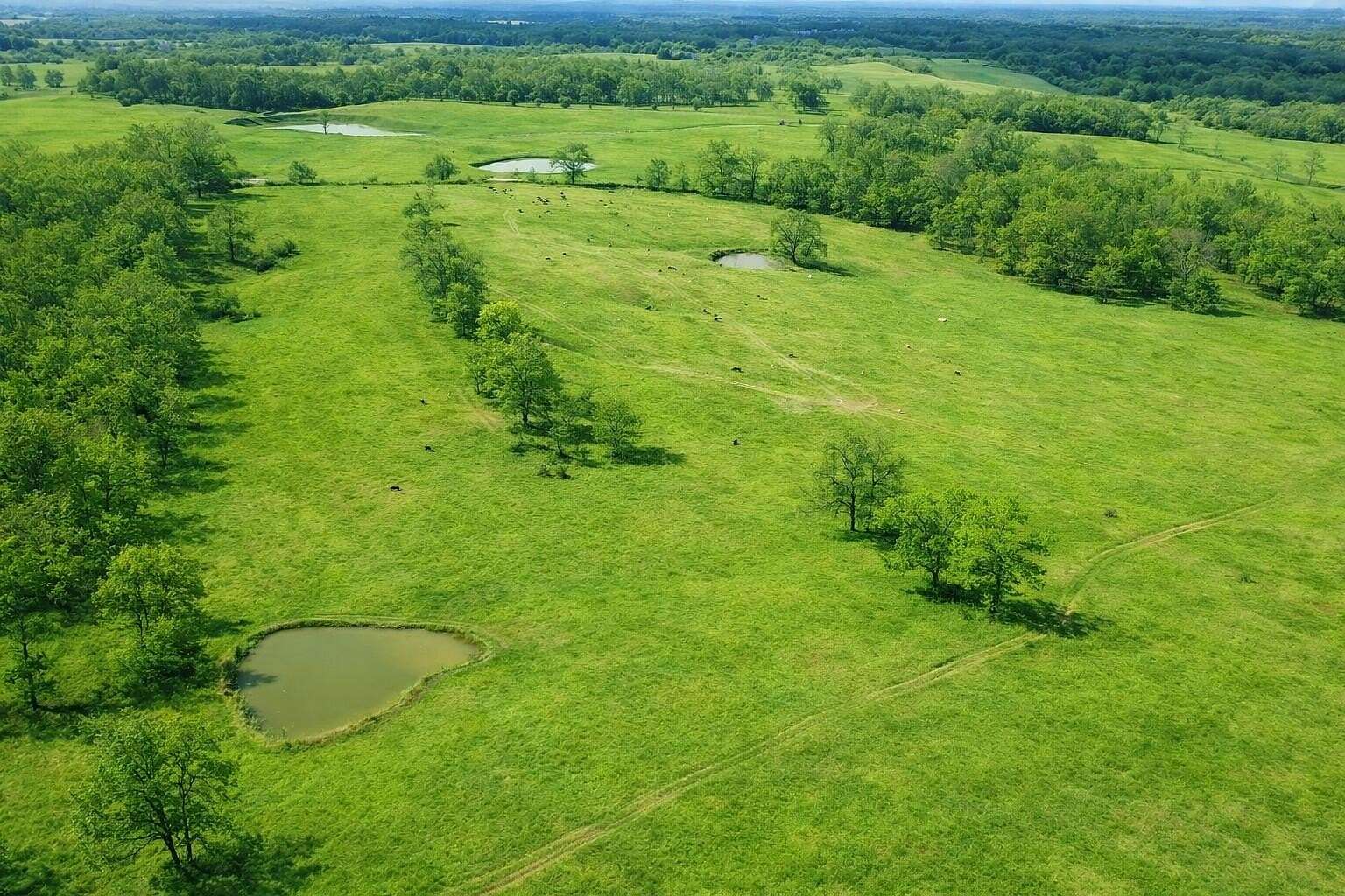 232 Acres of Land for Sale in Koshkonong, Missouri