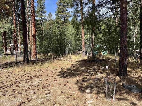 0.35 Acres of Land for Sale in Lowman, Idaho