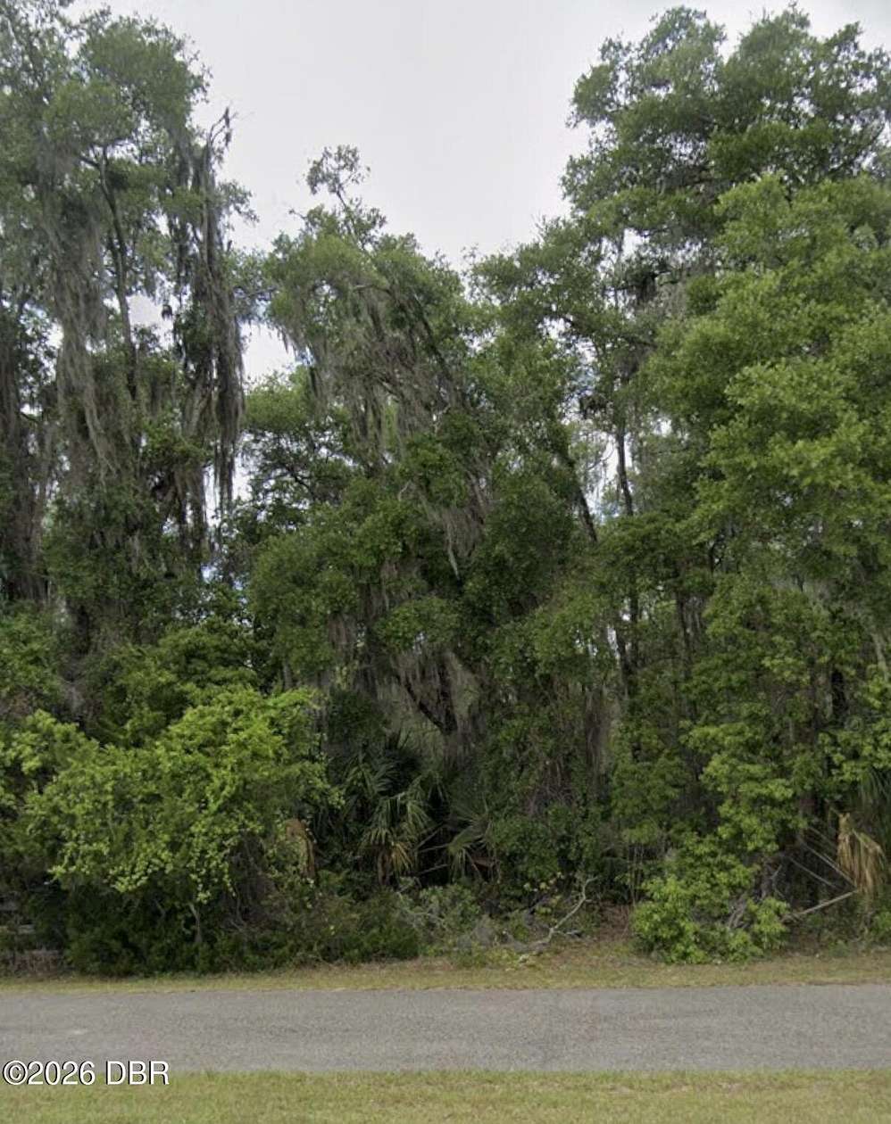 5 Acres of Land for Sale in DeLand, Florida