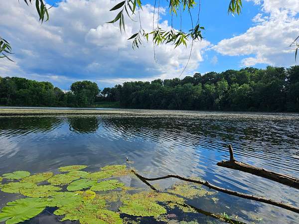 1 Acre of Residential Land for Sale in Coral, Michigan