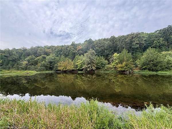 39.5 Acres of Recreational Land for Sale in Magazine, Arkansas