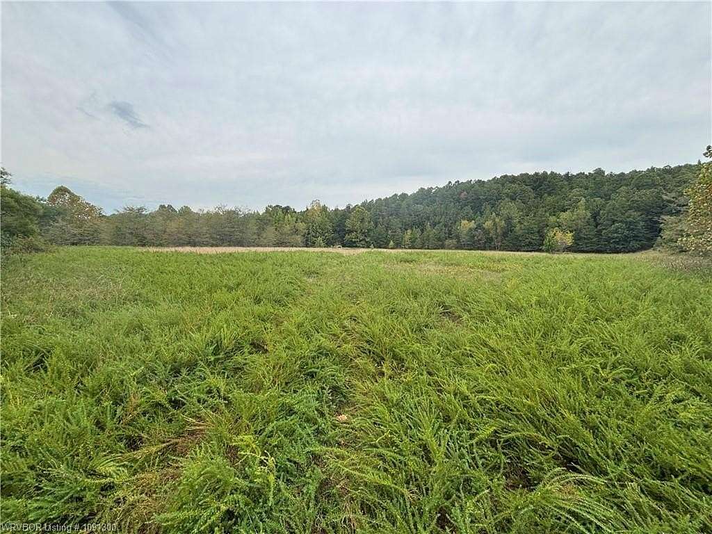 29.3 Acres of Recreational Land for Sale in Magazine, Arkansas